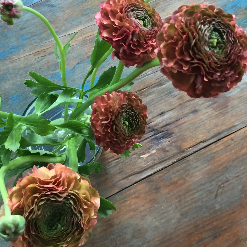 Winter Wellness for plant&nbsp;people