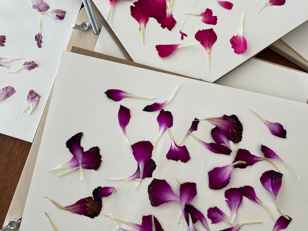 Winter Wellness for Plant People-The  Language of Flowers-Community Building